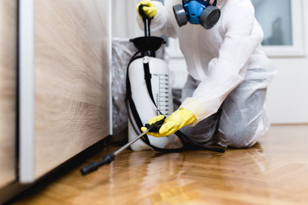 Best Rat Extermination Near Me  in Oakley, KS