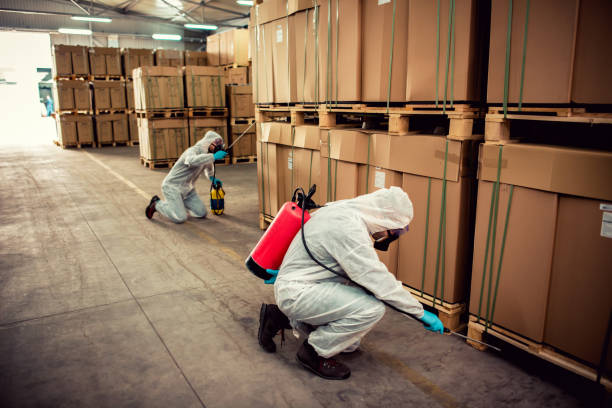 Best Wasp Removal Services  in Oakley, KS