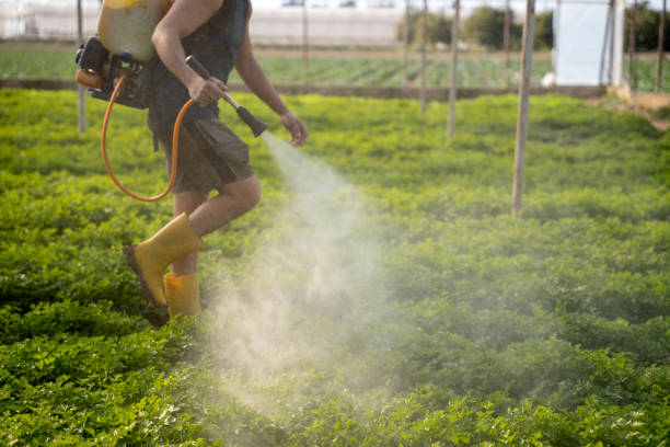 Best Exterminator Services  in Oakley, KS