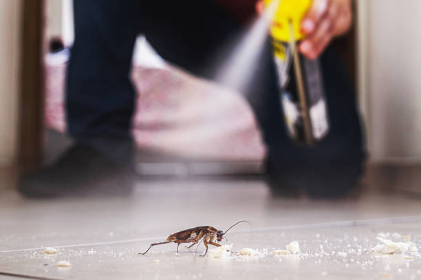 Best Exterminator Services  in Oakley, KS