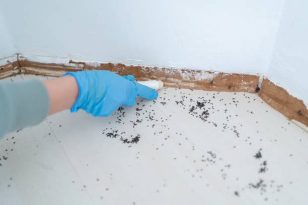 Best Best Pest Control Companies  in Oakley, KS